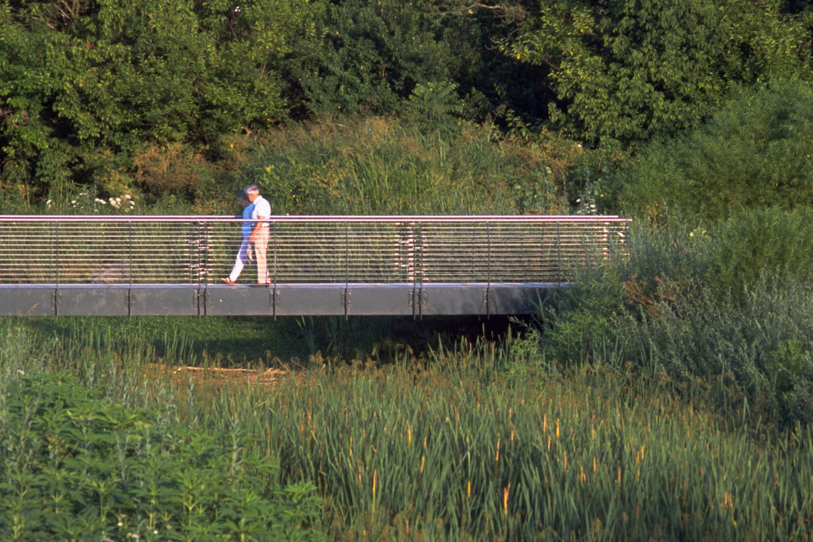 beargrasscreek a5 cropped