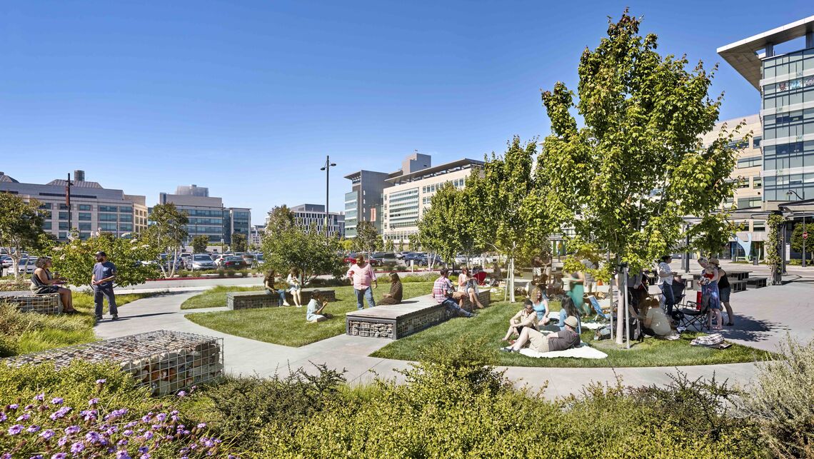 mariposa park cesarrubio 02