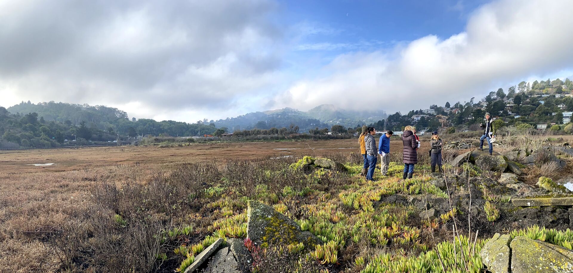 Bothin Marsh exploration | Mill Valley, CA