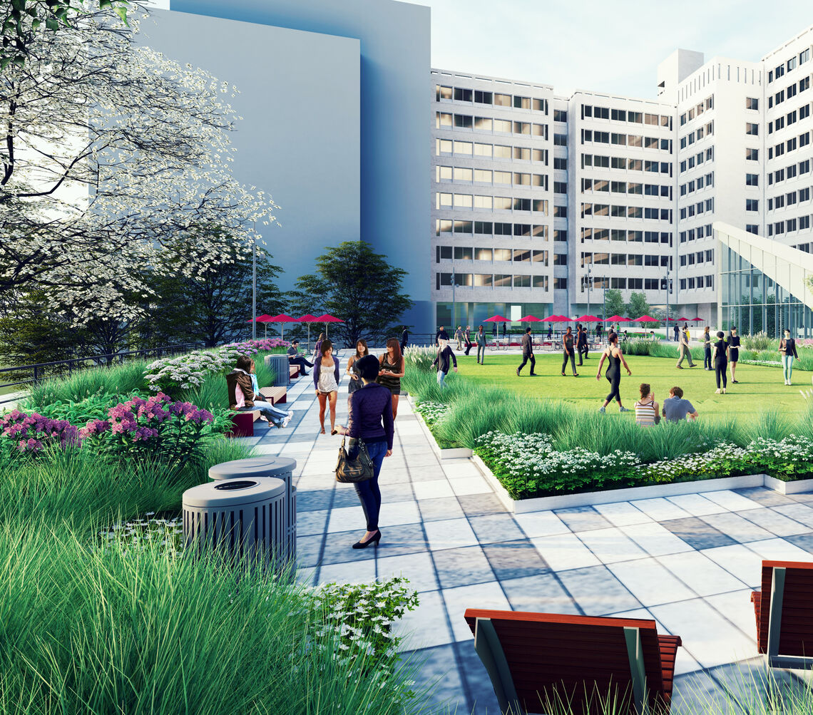 Temple University Landscape Master Plan