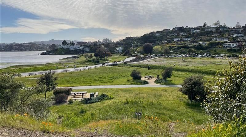 Tiburon Parks, Recreation + Open Space Master Plan
