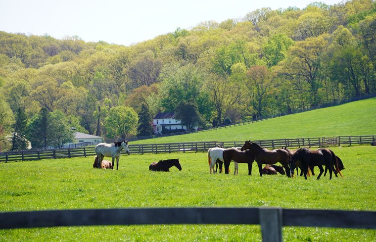 Six Decades In: How Baltimore County Has Benefitted from its Urban Growth Boundary