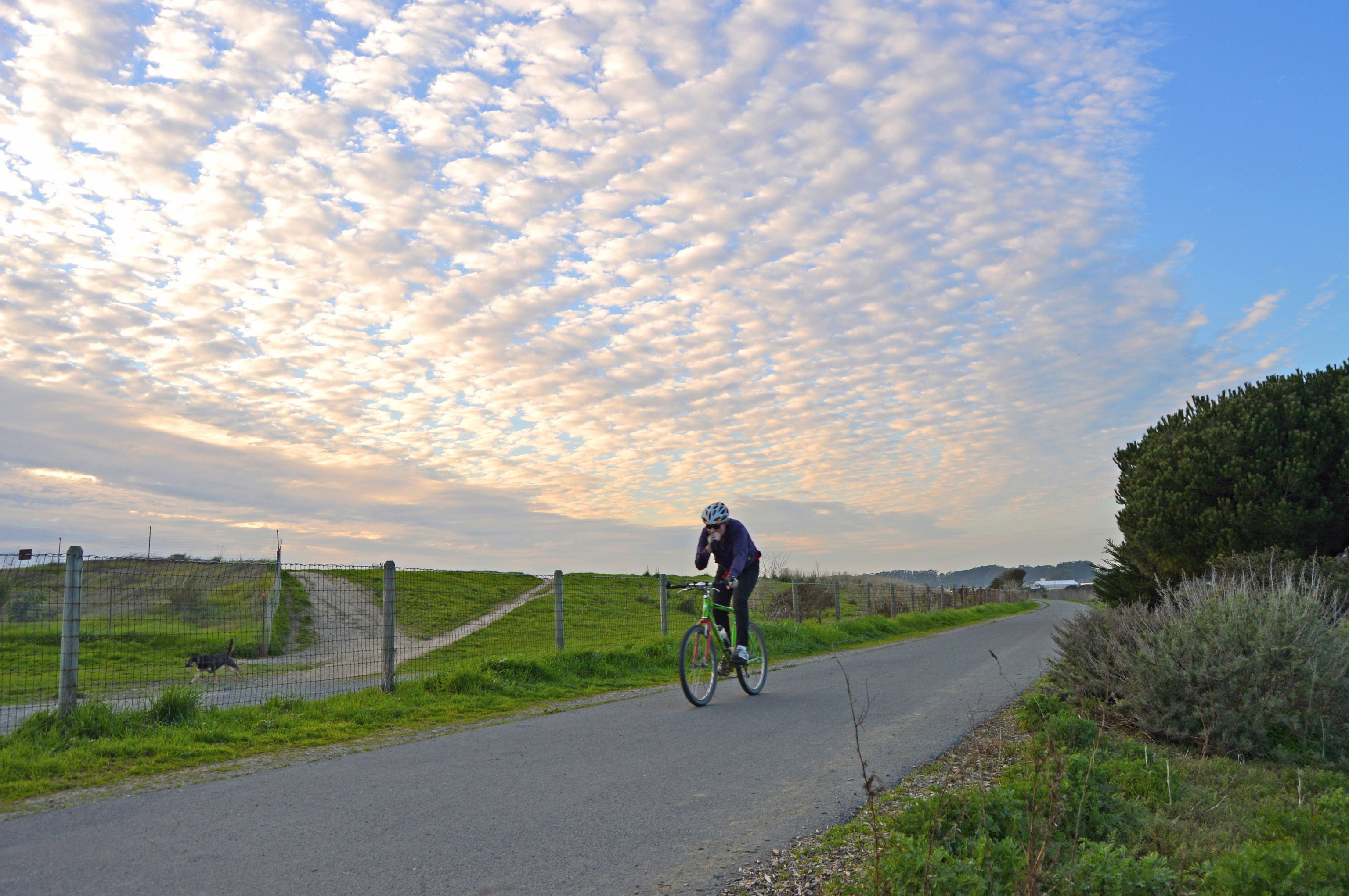 SF Bay Trail